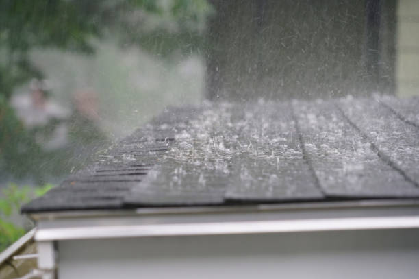 Best Cold Roofs  in Buckhannon, WV