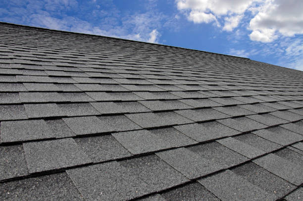 Best Roof Maintenance and Cleaning  in Buckhannon, WV
