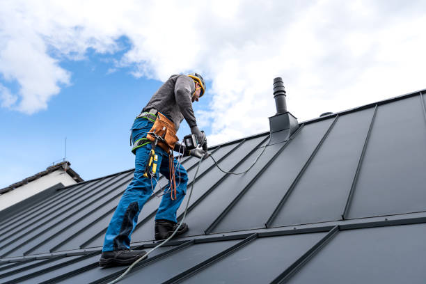 Best Gutter Replacement  in Buckhannon, WV